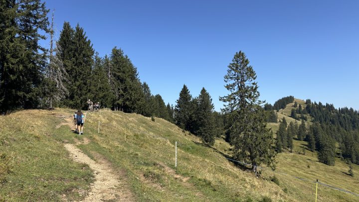 Herbstwanderung 2026