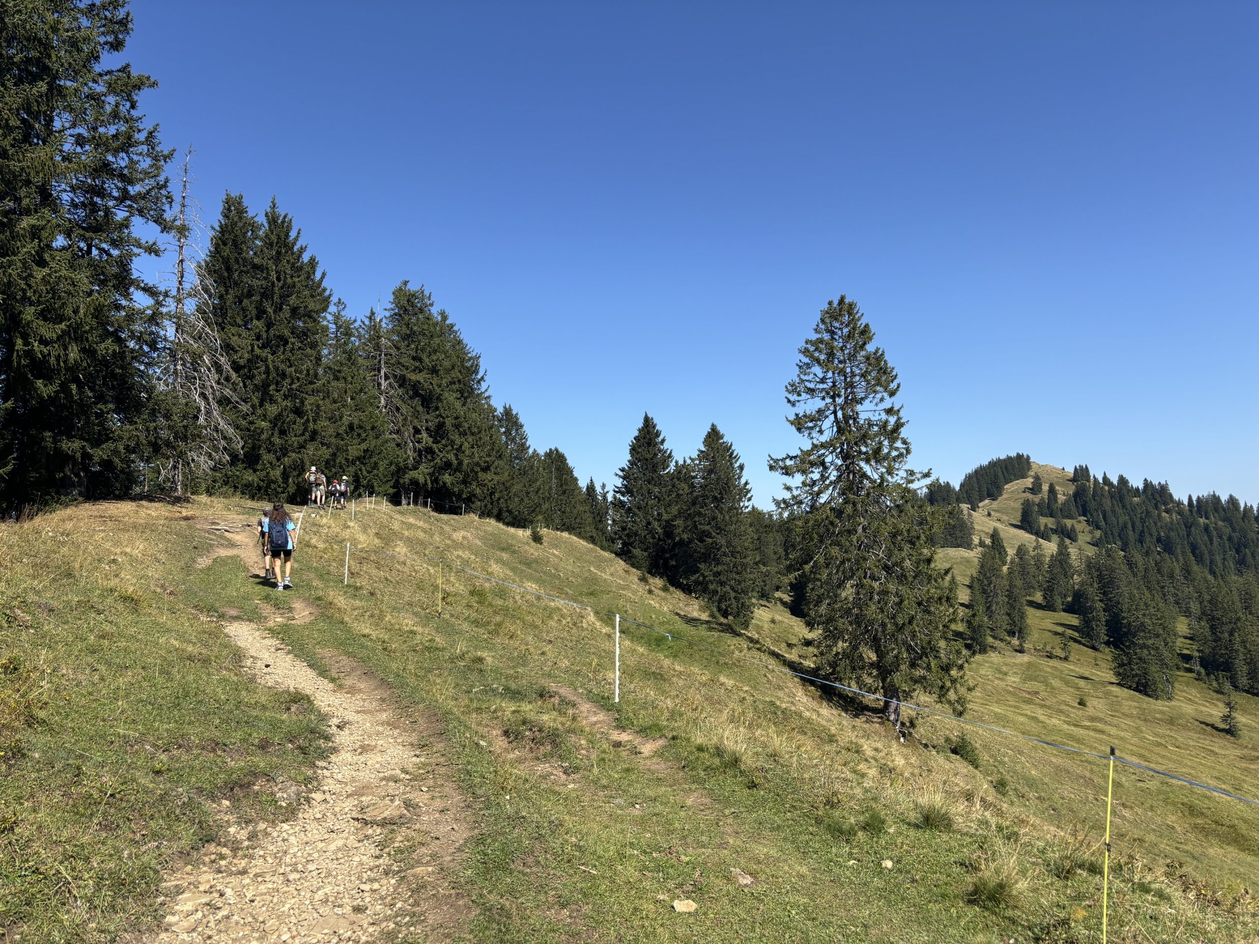 Herbstwanderung 2026