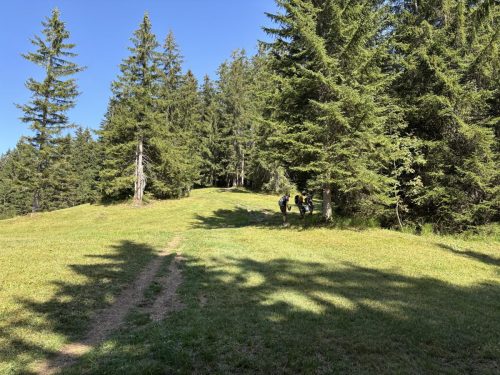 Herbstwanderung 2026